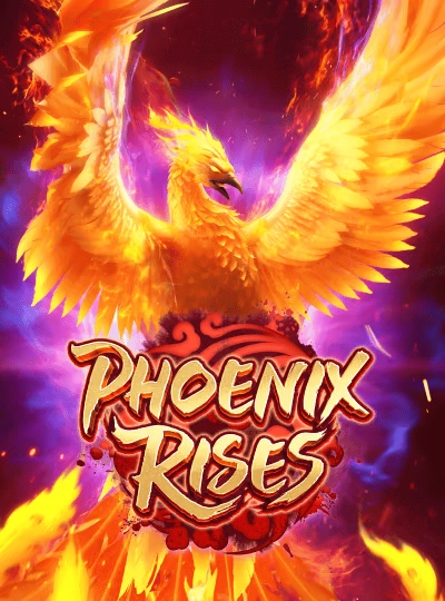 imf999 imf999
